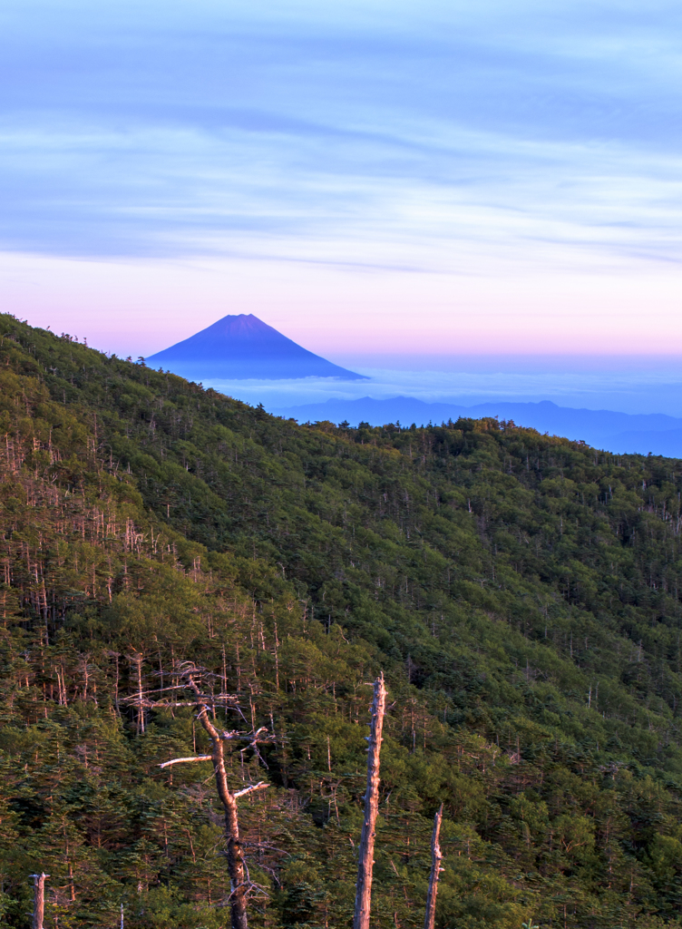 富士山夕景