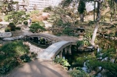 縮景園にて 14
