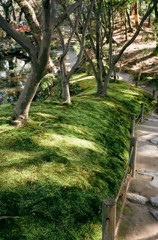 縮景園にて 12