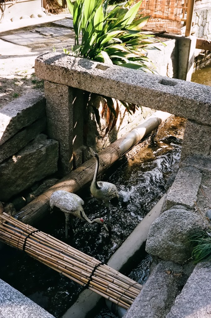 縮景園にて 01