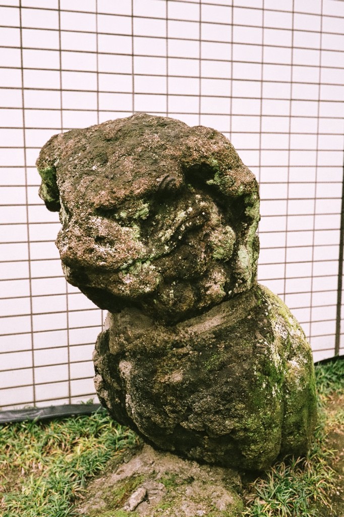 被曝狛犬