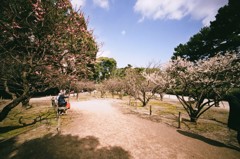 日向ぼっこ