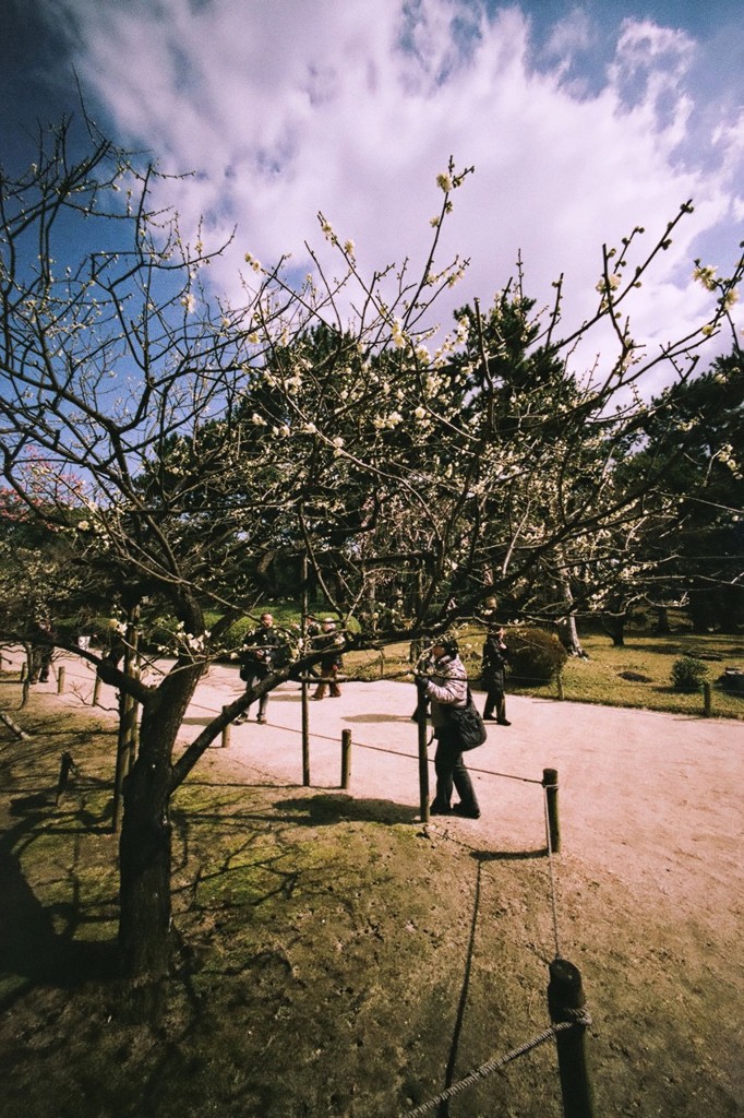 カメラマン・ストリート