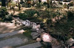 縮景園にて 07