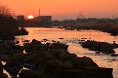 多摩川を染める陽光