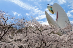 桜と太陽の塔