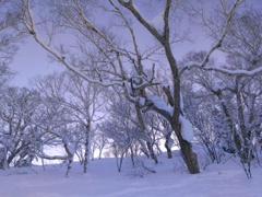 〜HOKKAIDO〜
