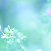 beginning～恋のはじまり～