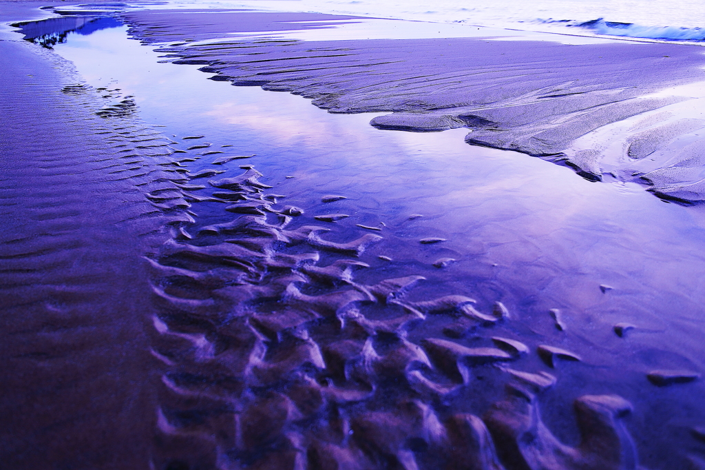 －art of sea－海の芸術