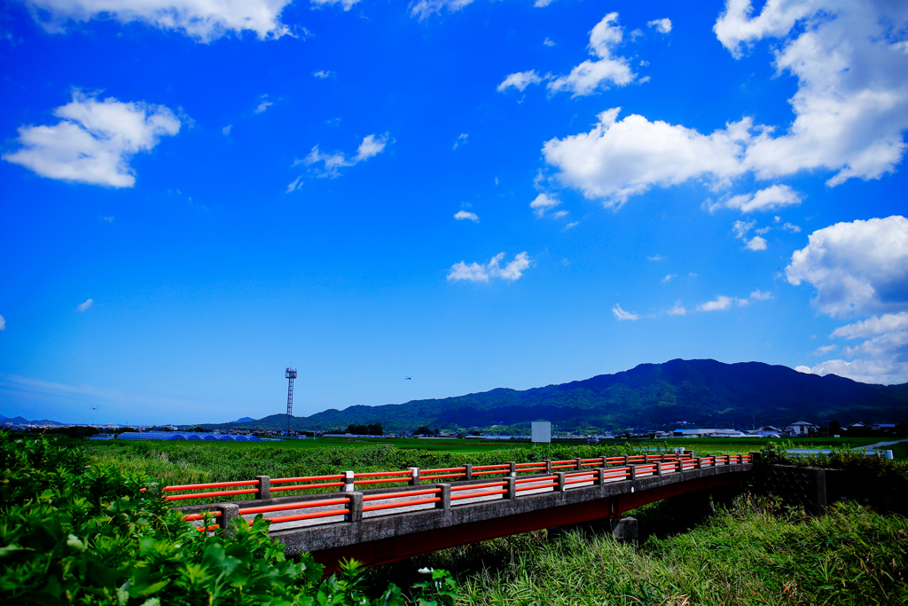 ―残暑と言えど36℃―