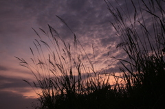 －sun is down－…秋は夕暮れ