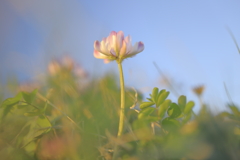 －ささやかな春－