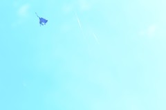 －風にゆられて－