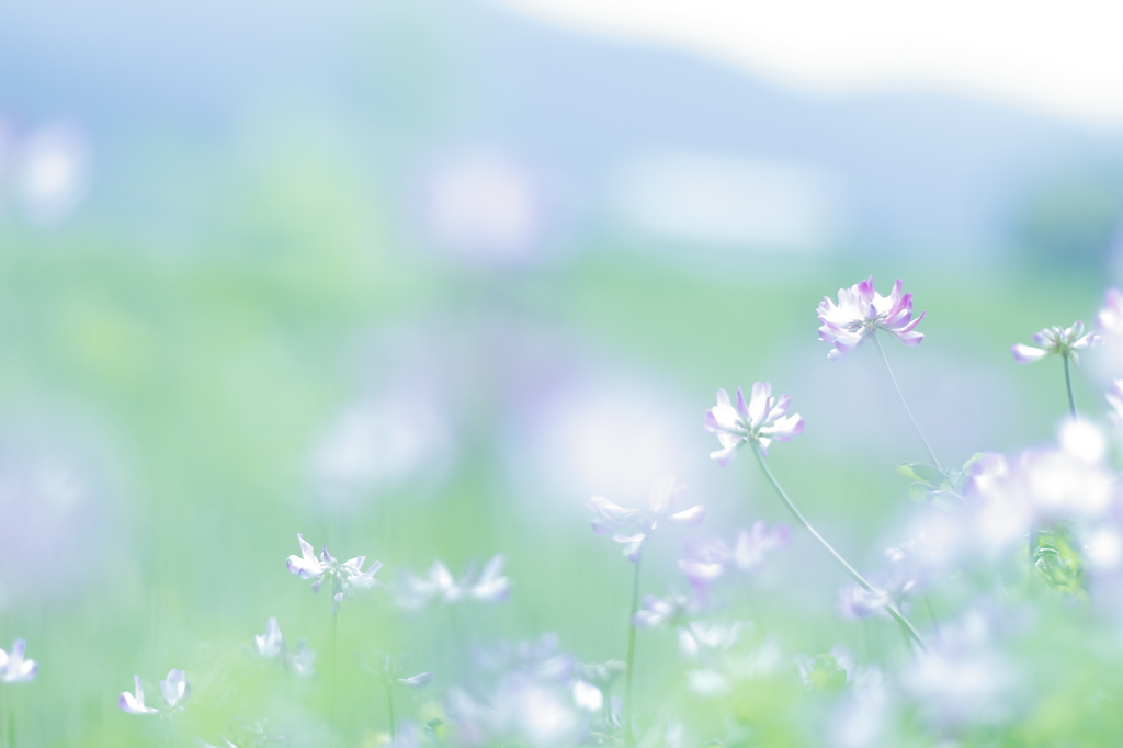 －feel－   君がそばにいるような...