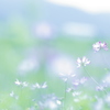 －feel－   君がそばにいるような...