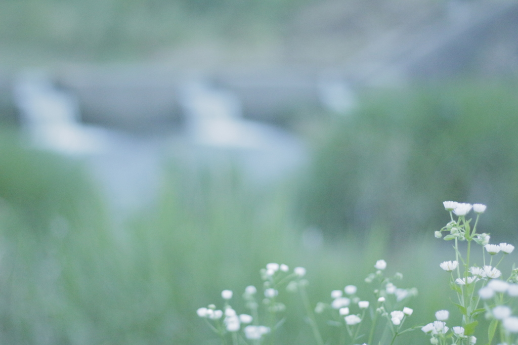 －yuune－夕音