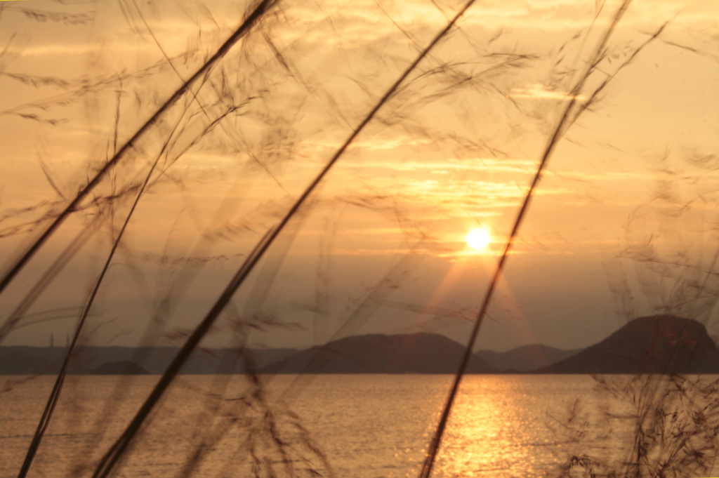－west wind－西風