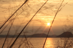 －west wind－西風