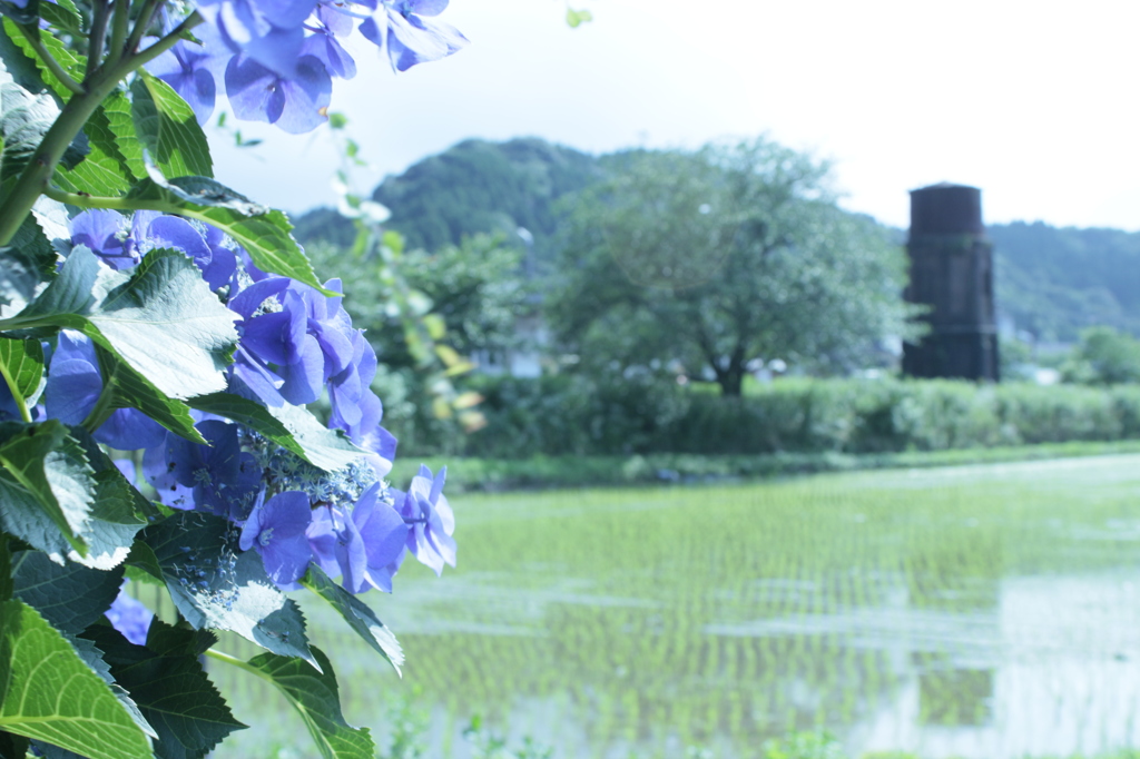 －saigetu－