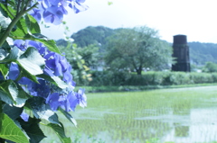 －saigetu－