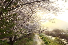 －sakura story－3-2