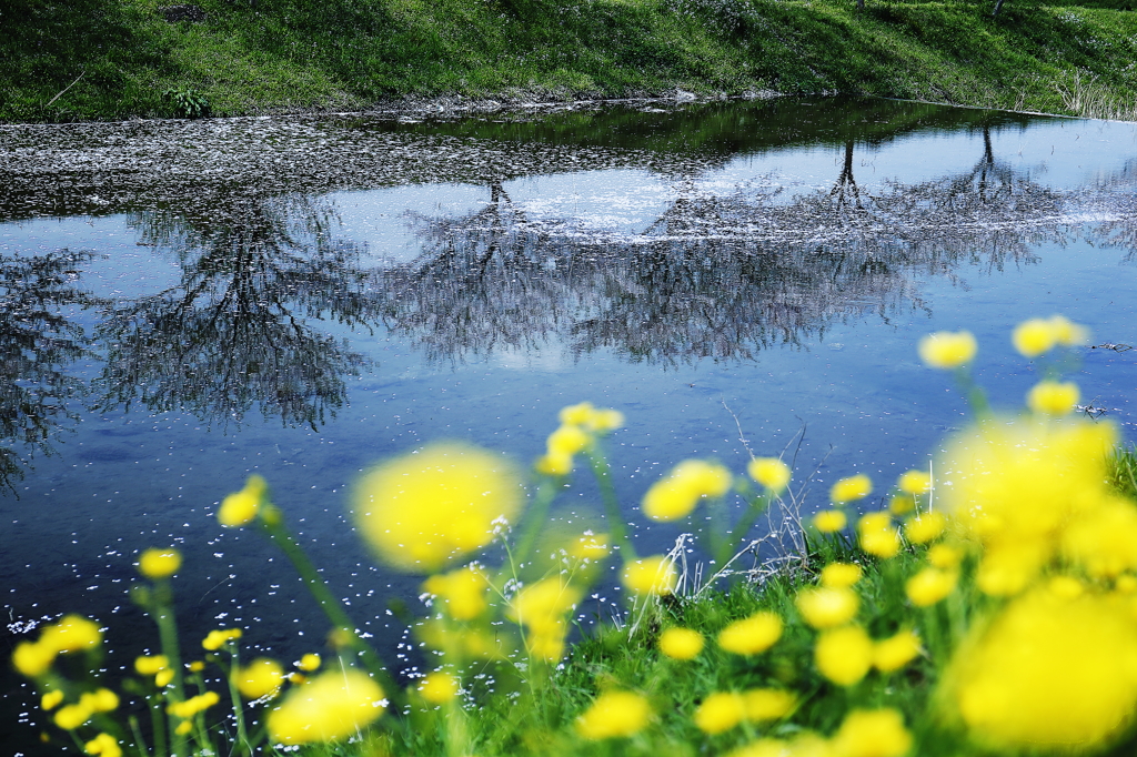 －春の水面－