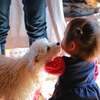 Ｆａｓｔ　ＫＩＳＳ