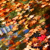 紅一点　