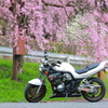バイクシーズン到来！