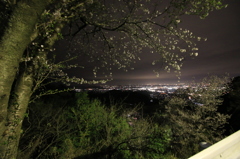 夜光