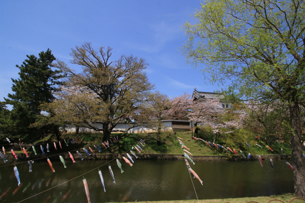 亀城公園