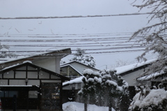 落雪注意！