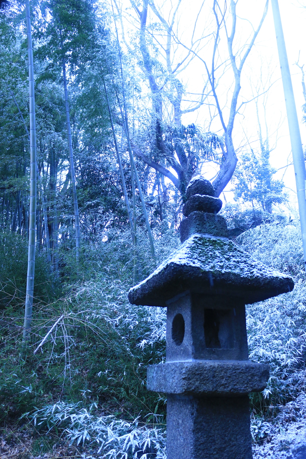 初積雪