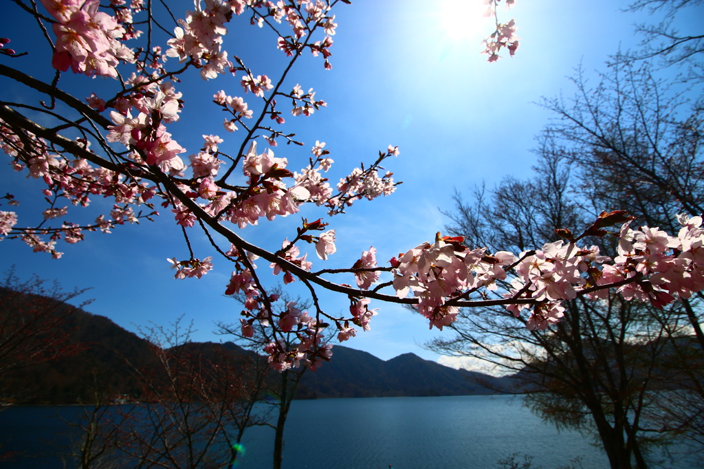 中禅寺湖