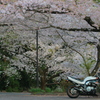 春ツーリング