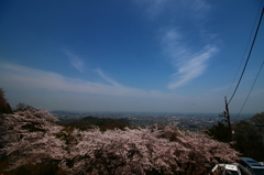 関東平野の春