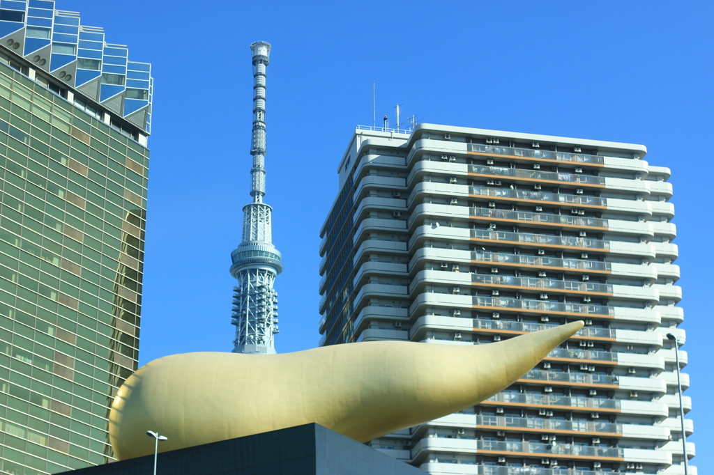 スカイツリー　ちらっ