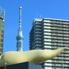 スカイツリー　ちらっ