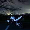 夜景