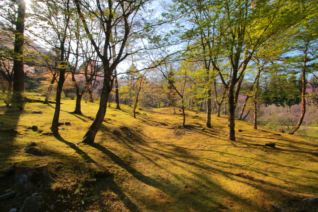 静かな庭園