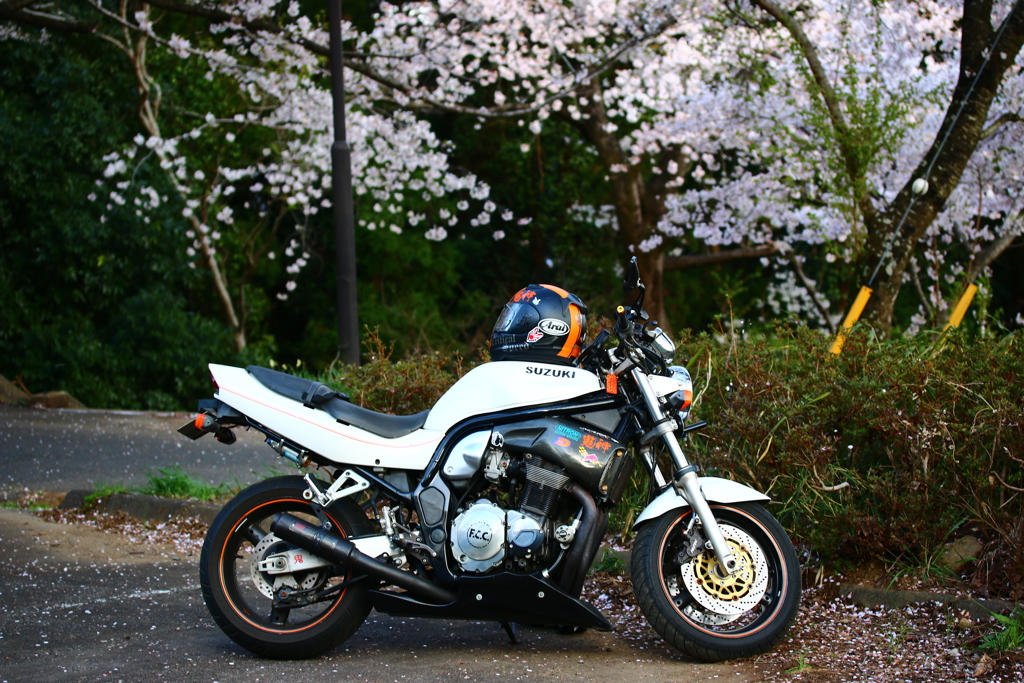 お花見