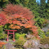 小さな鳥居