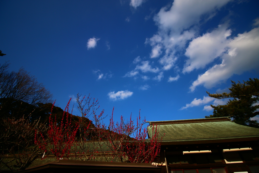 大洗磯前神社