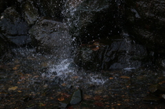 飛沫