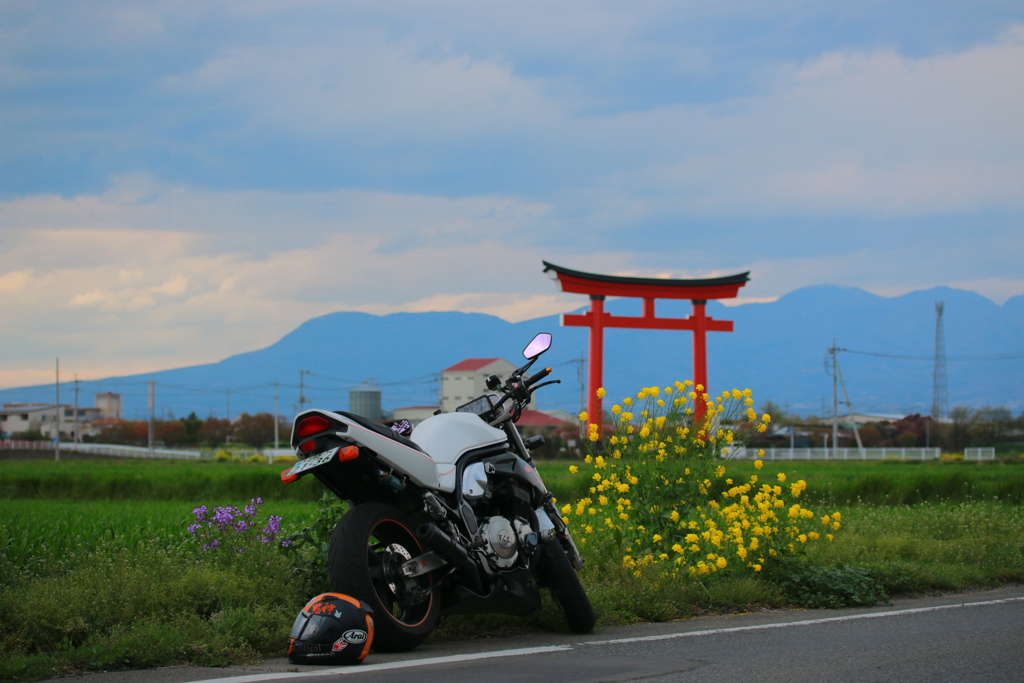 大鳥居