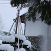 落雪