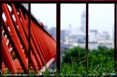 Window