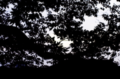 2015_07_05 18_21_26