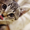 She knows herself is cute.