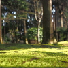 龍安寺③